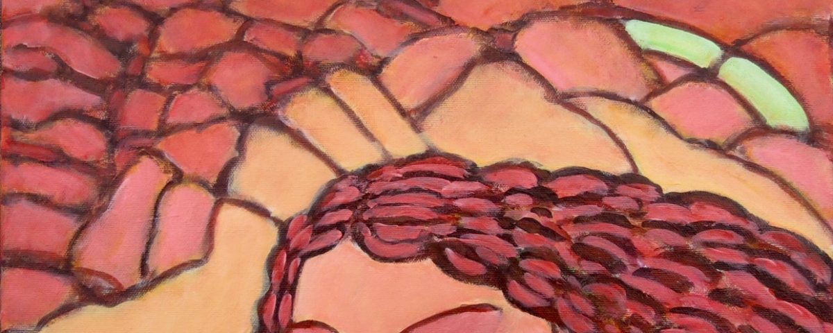 Les montagnes Camous, 2017. Acrylique sur toile, 20x16 po.